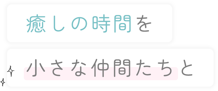 癒しの時間を小さな仲間たちと